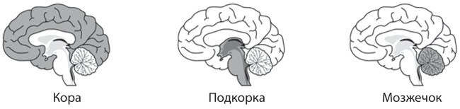 Как рождаются эмоции. Революция в понимании мозга и управлении эмоциями Как рождаются эмоции. Революция в понимании мозга и управлении эмоциями