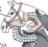 Школа верховой езды для начинающих