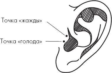 Похудение по-тибетски. Как избавиться от лишнего веса, питаясь вкусно Похудение по-тибетски. Как избавиться от лишнего веса, питаясь вкусно
