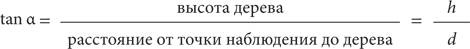Красота в квадрате. Как цифры отражают жизнь и жизнь отражает цифры Красота в квадрате. Как цифры отражают жизнь и жизнь отражает цифры