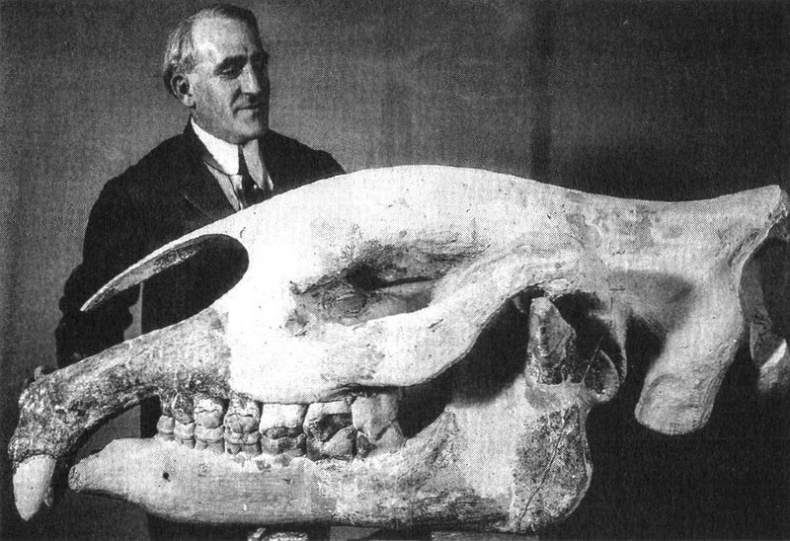 Отпечатки жизни. 25 шагов эволюции и вся история планеты Отпечатки жизни. 25 шагов эволюции и вся история планеты
