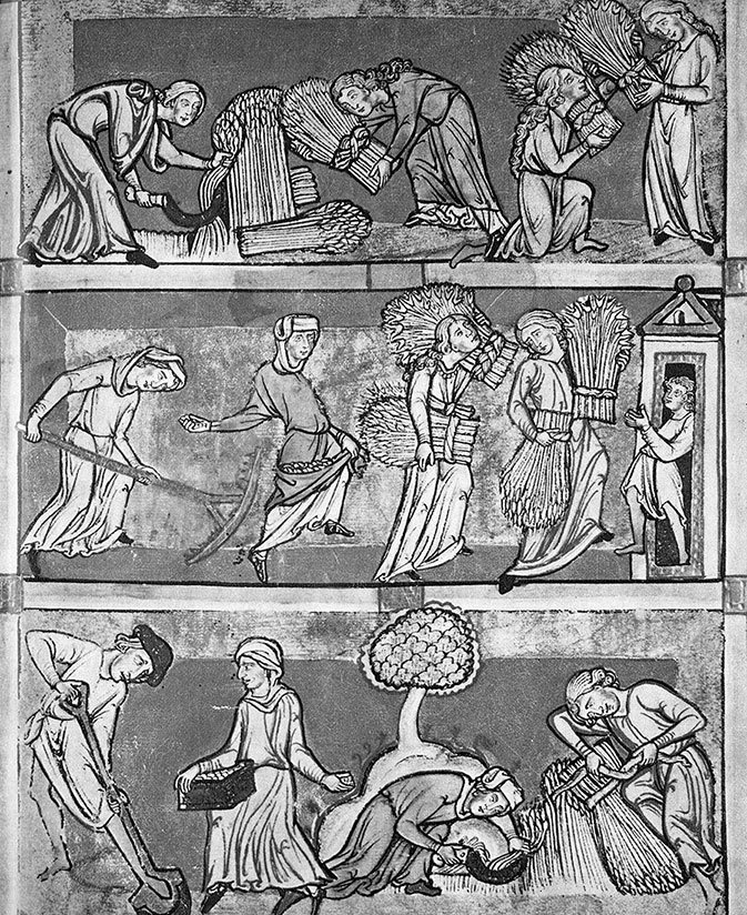 История Германии История Германии