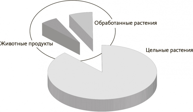 Китайское исследование на практике. Простой переход к здоровому образу жизни