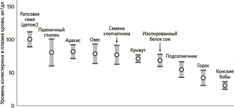 Китайское исследование на практике. Простой переход к здоровому образу жизни Китайское исследование на практике. Простой переход к здоровому образу жизни