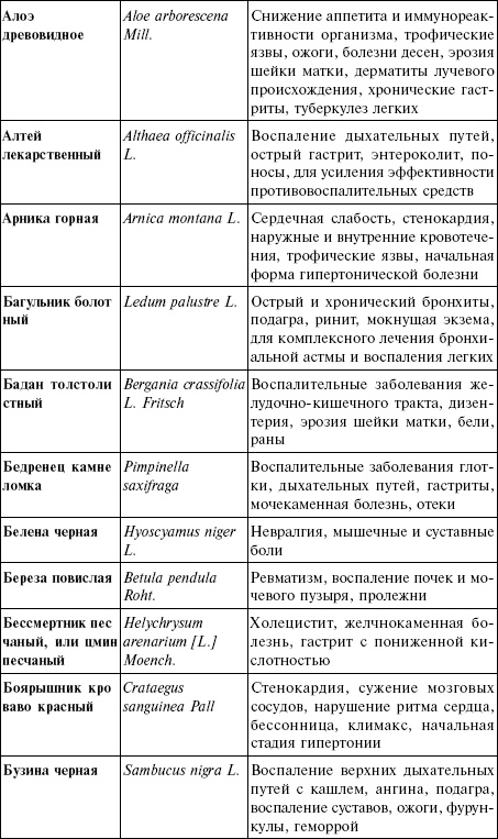 Лечебные чаи, сборы, настои Лечебные чаи, сборы, настои