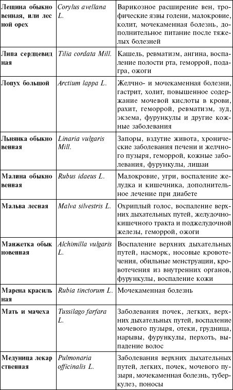 Лечебные чаи, сборы, настои Лечебные чаи, сборы, настои