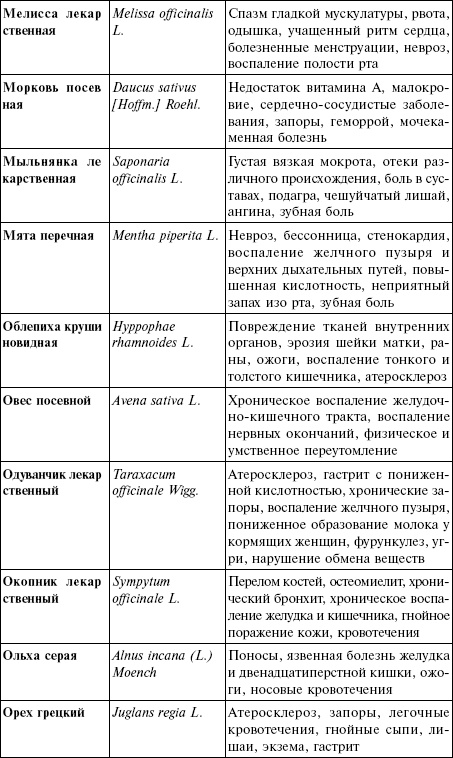 Лечебные чаи, сборы, настои Лечебные чаи, сборы, настои