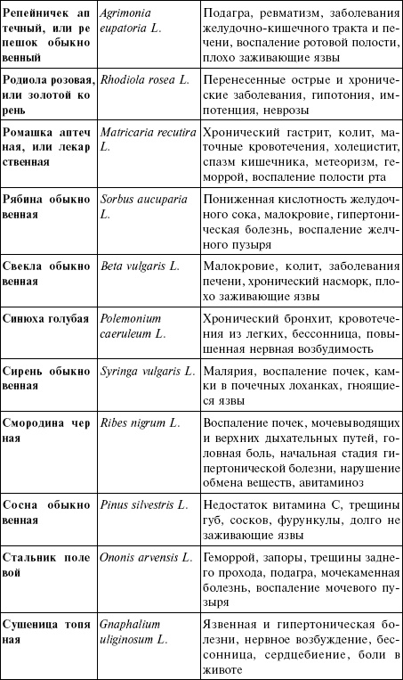 Лечебные чаи, сборы, настои Лечебные чаи, сборы, настои