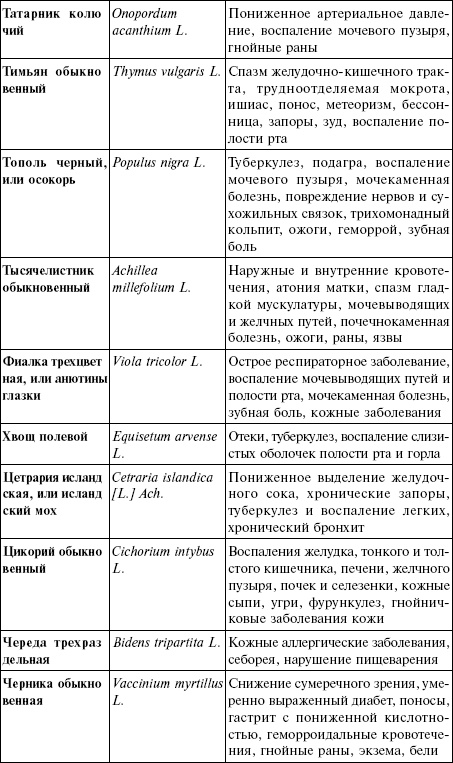 Лечебные чаи, сборы, настои Лечебные чаи, сборы, настои