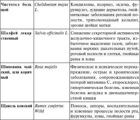 Лечебные чаи, сборы, настои Лечебные чаи, сборы, настои