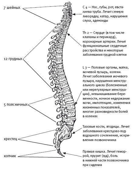 Ни кошелька, ни жизни. Нетрадиционная медицина под следствием Ни кошелька, ни жизни. Нетрадиционная медицина под следствием