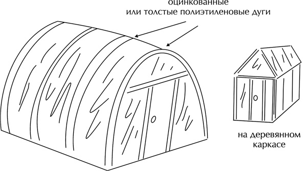 Теплицы без ошибок. С чего начать и как эффективно использовать Теплицы без ошибок. С чего начать и как эффективно использовать