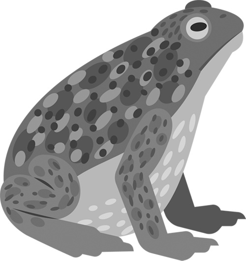 Теплицы без ошибок. С чего начать и как эффективно использовать Теплицы без ошибок. С чего начать и как эффективно использовать
