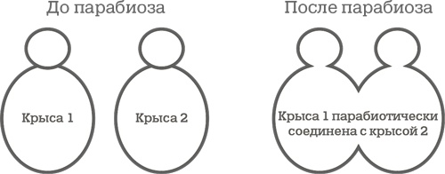 Дело не в калориях. Как не зависеть от диет, не изнурять себя фитнесом, быть в отличной форме и жить лучше Дело не в калориях. Как не зависеть от диет, не изнурять себя фитнесом, быть в отличной форме и жить лучше