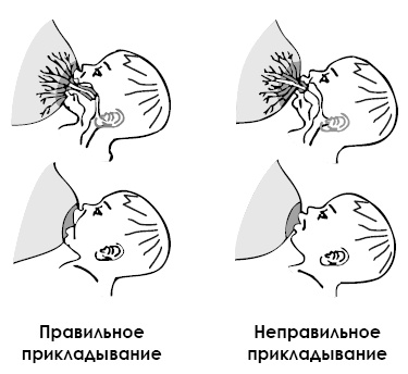 Кормление ребенка грудью Кормление ребенка грудью
