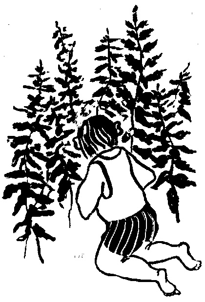 Жратва
