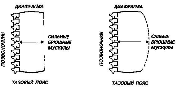 Здоровая спина за 10 минут в день Здоровая спина за 10 минут в день