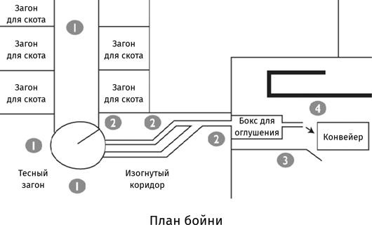 Корпоративное племя. Чему антрополог может научить топ-менеджера