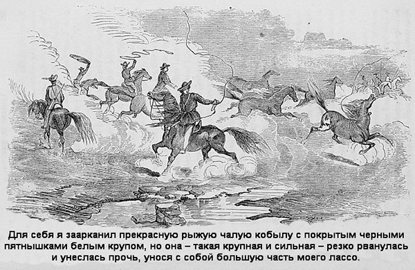В индейских прериях и тылах мятежников. (Воспоминания техасского рейнджера и разведчика)