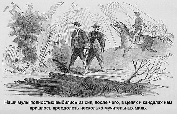 В индейских прериях и тылах мятежников. (Воспоминания техасского рейнджера и разведчика)