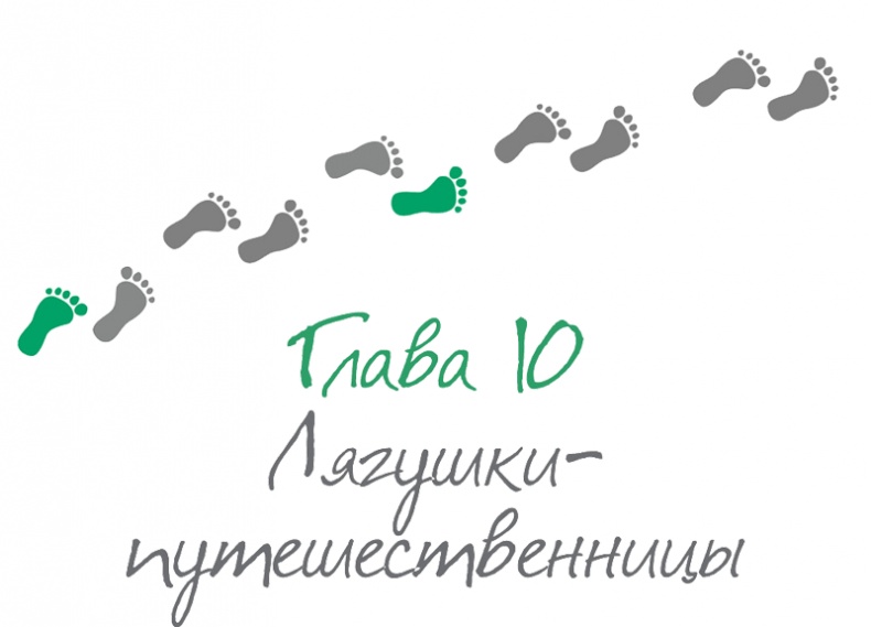 Как стать другом своему ребенку. Папа, папочка, папуля Как стать другом своему ребенку. Папа, папочка, папуля