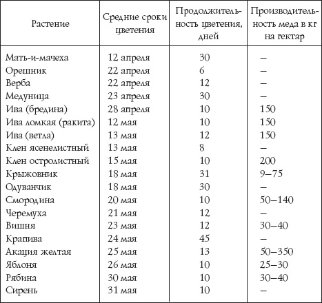 Пчеловодство для начинающих Пчеловодство для начинающих