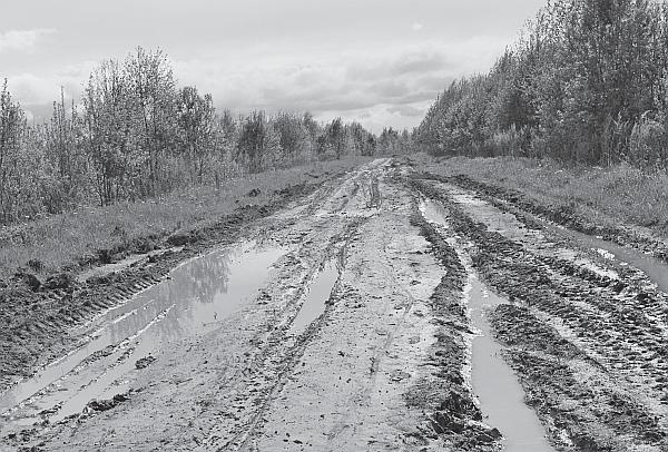 Пчеловодство для начинающих Пчеловодство для начинающих