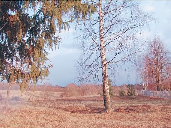 Пчеловодство для начинающих Пчеловодство для начинающих
