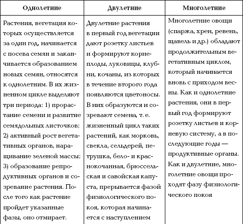 Отличный урожай круглый год Отличный урожай круглый год