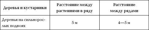 Отличный урожай круглый год Отличный урожай круглый год