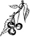 Отличный урожай круглый год Отличный урожай круглый год
