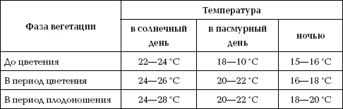 Отличный урожай круглый год Отличный урожай круглый год