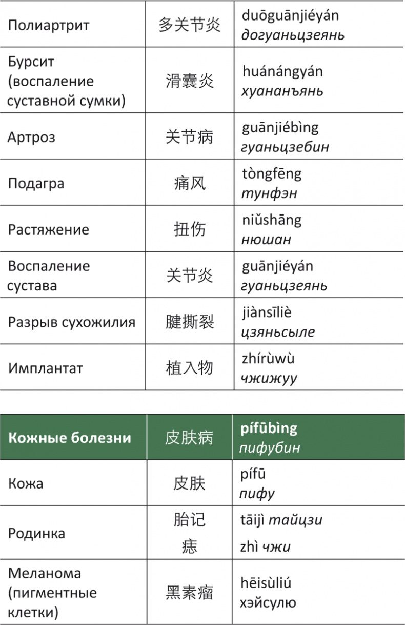 Лестница в небо, или Китайская медицина по-русски Лестница в небо, или Китайская медицина по-русски