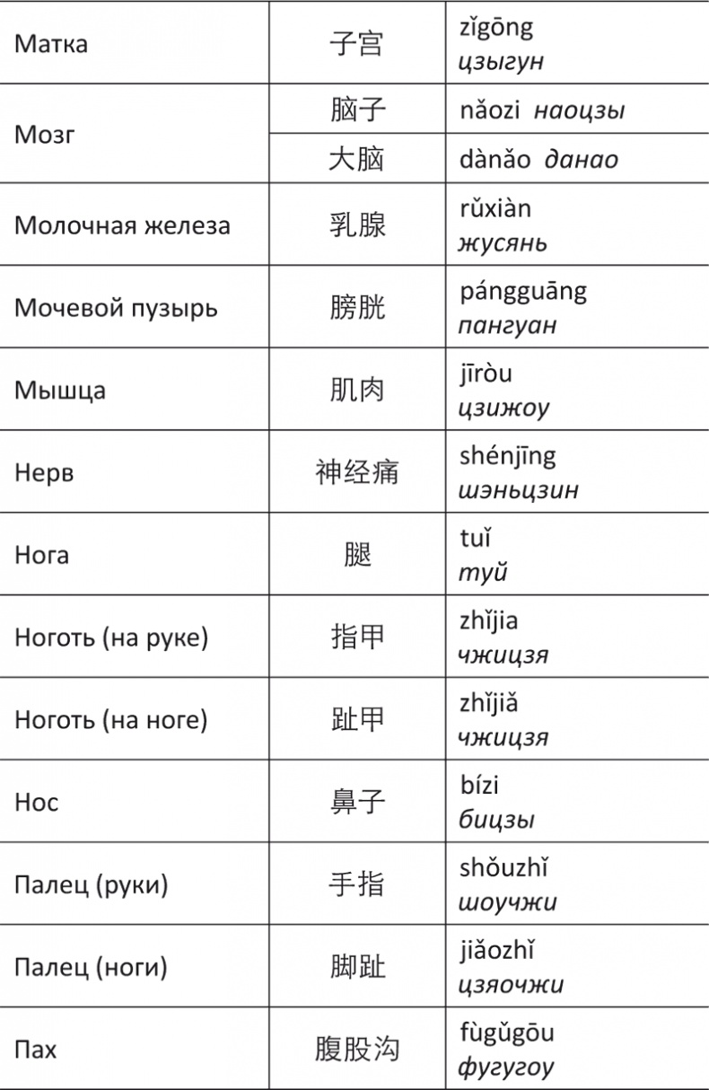 Лестница в небо, или Китайская медицина по-русски Лестница в небо, или Китайская медицина по-русски