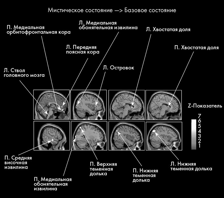 Научные битвы за душу. Новейшие знания о мозге и вера в Бога Научные битвы за душу. Новейшие знания о мозге и вера в Бога