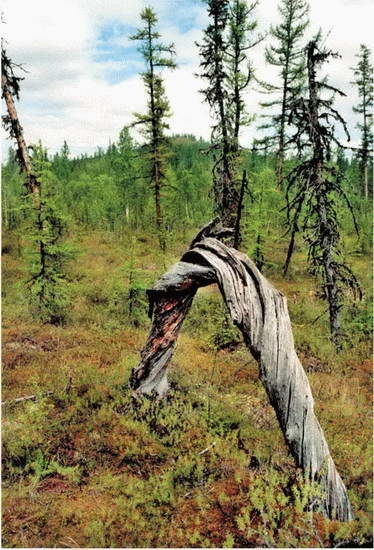 Космос. Все о звездах, планетах, космических странниках