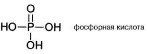 Эректус бродит между нами. Покорение белой расы Эректус бродит между нами. Покорение белой расы