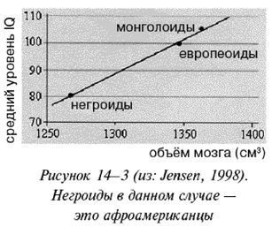 Эректус бродит между нами. Покорение белой расы Эректус бродит между нами. Покорение белой расы