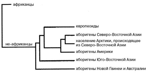 Эректус бродит между нами. Покорение белой расы Эректус бродит между нами. Покорение белой расы