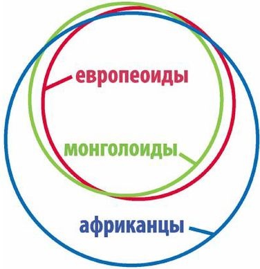 Эректус бродит между нами. Покорение белой расы Эректус бродит между нами. Покорение белой расы