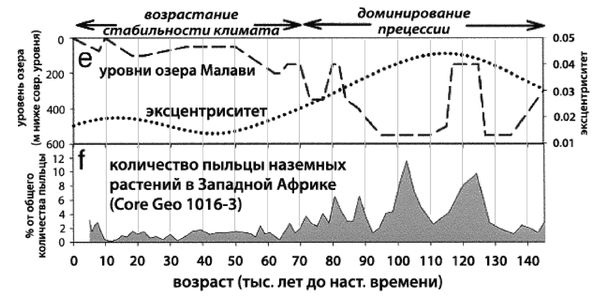 Эректус бродит между нами. Покорение белой расы Эректус бродит между нами. Покорение белой расы