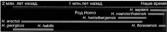Эректус бродит между нами. Покорение белой расы Эректус бродит между нами. Покорение белой расы