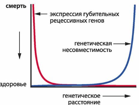 Эректус бродит между нами. Покорение белой расы Эректус бродит между нами. Покорение белой расы