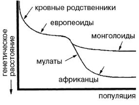 Эректус бродит между нами. Покорение белой расы Эректус бродит между нами. Покорение белой расы