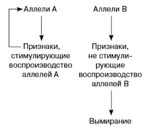 Эректус бродит между нами. Покорение белой расы Эректус бродит между нами. Покорение белой расы