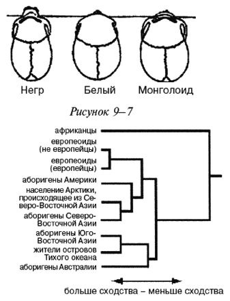 Эректус бродит между нами. Покорение белой расы Эректус бродит между нами. Покорение белой расы