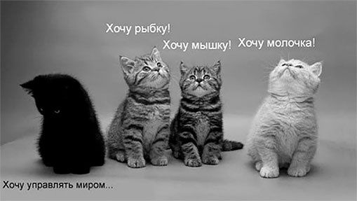 Стой, кто ведет? Биология поведения человека и других зверей Стой, кто ведет? Биология поведения человека и других зверей