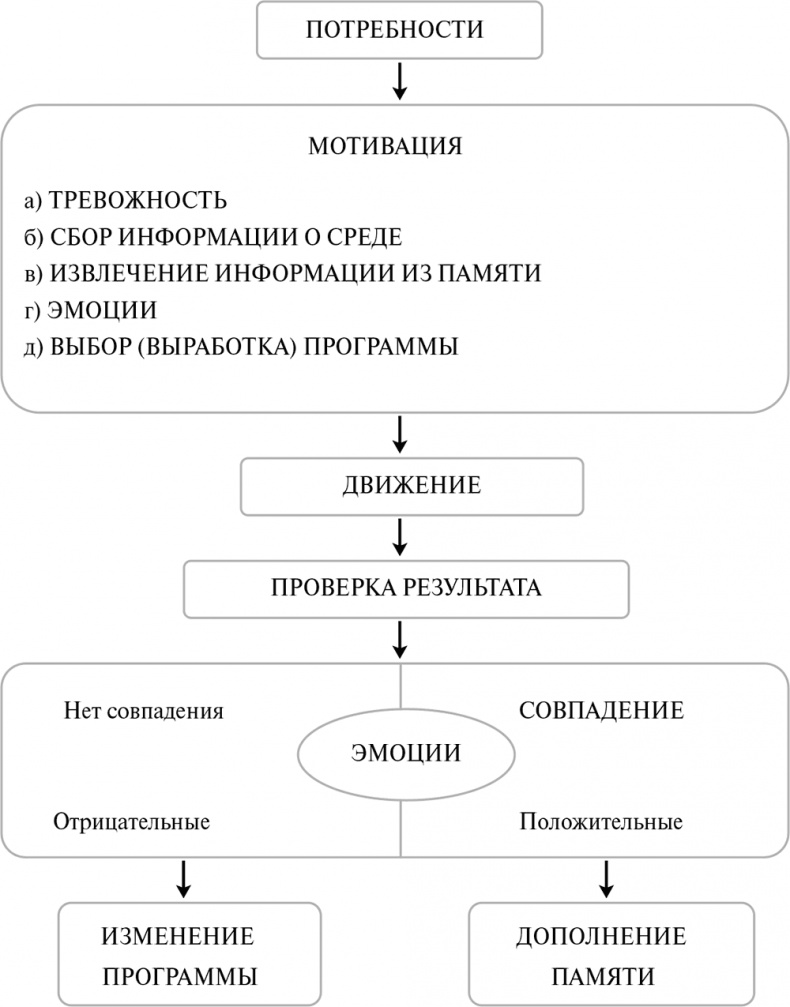 Стой, кто ведет? Биология поведения человека и других зверей Стой, кто ведет? Биология поведения человека и других зверей
