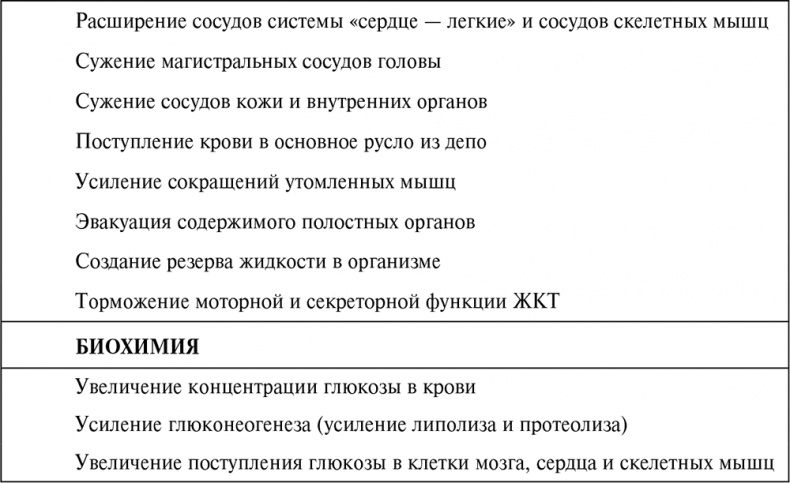 Стой, кто ведет? Биология поведения человека и других зверей