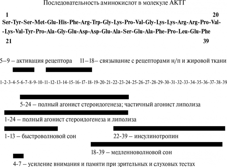 Стой, кто ведет? Биология поведения человека и других зверей Стой, кто ведет? Биология поведения человека и других зверей
